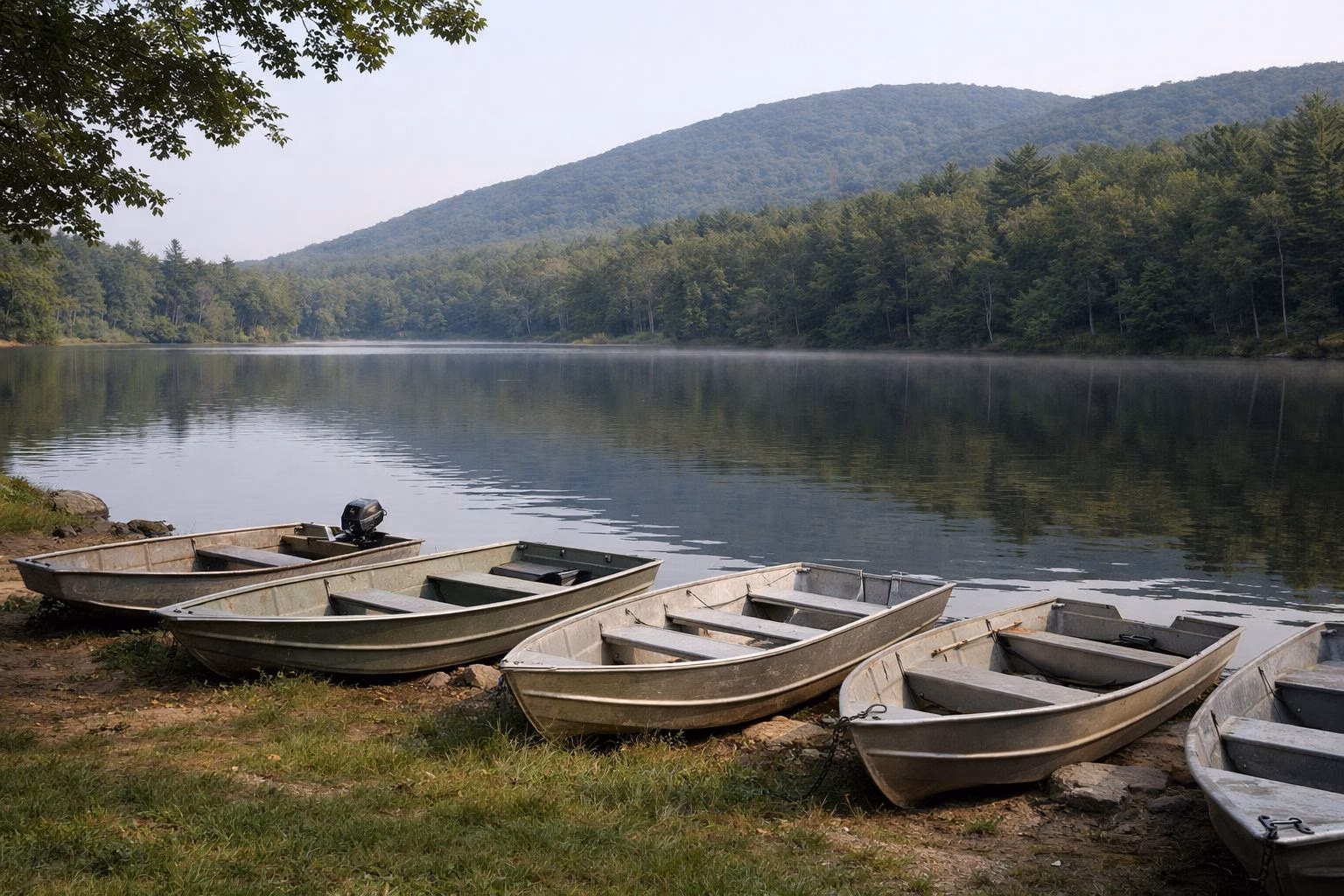 Several small aluminum rowboats pulled up on a grassy lake shore beside calm water