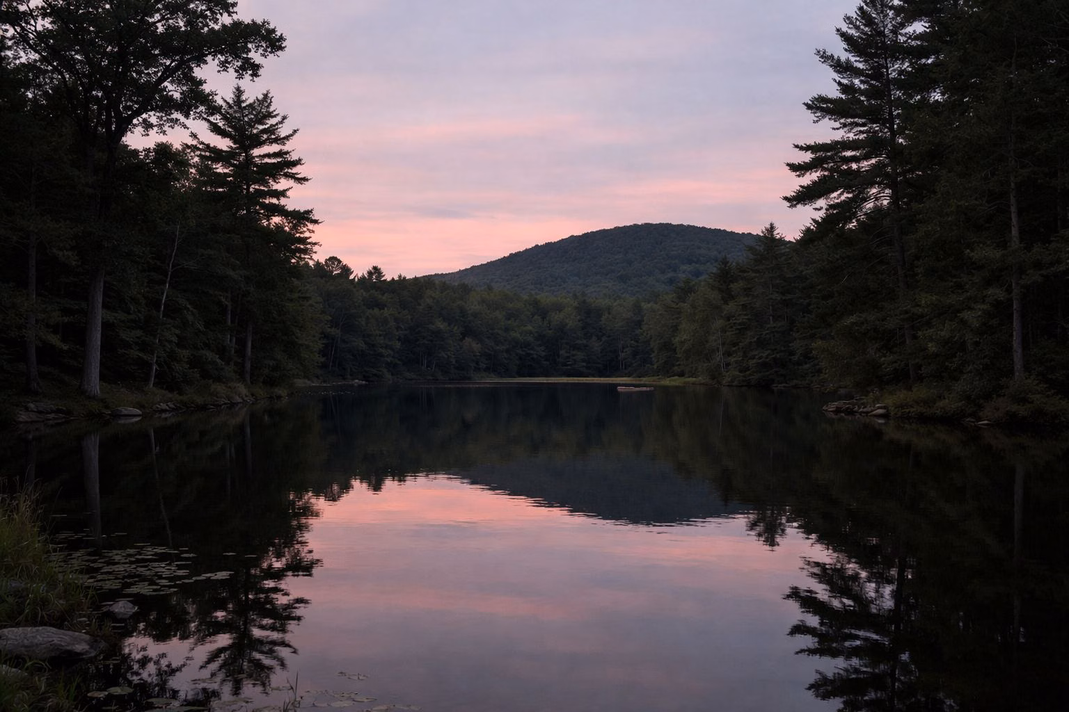 A small forest lake at dusk with dark tree silhouettes and soft pink sky reflected in the water