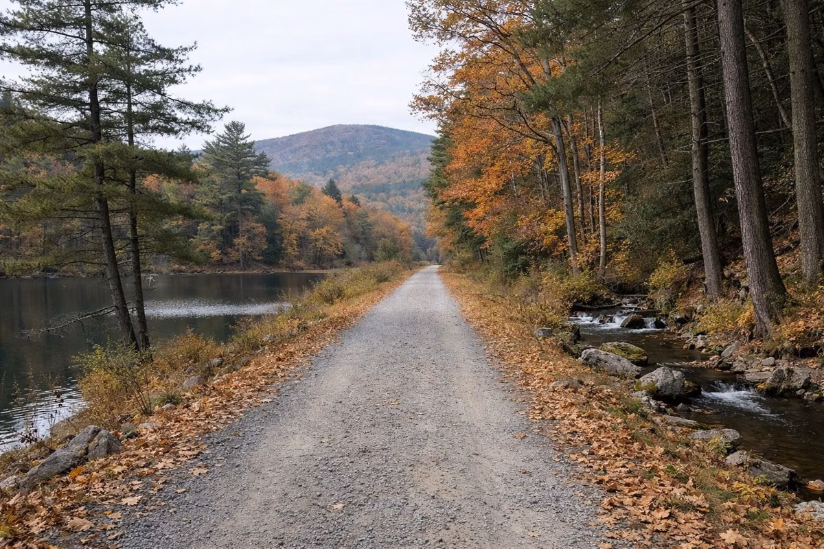 A flat gravel rail-trail lined with autumn hardwoods and fallen leaves, no people