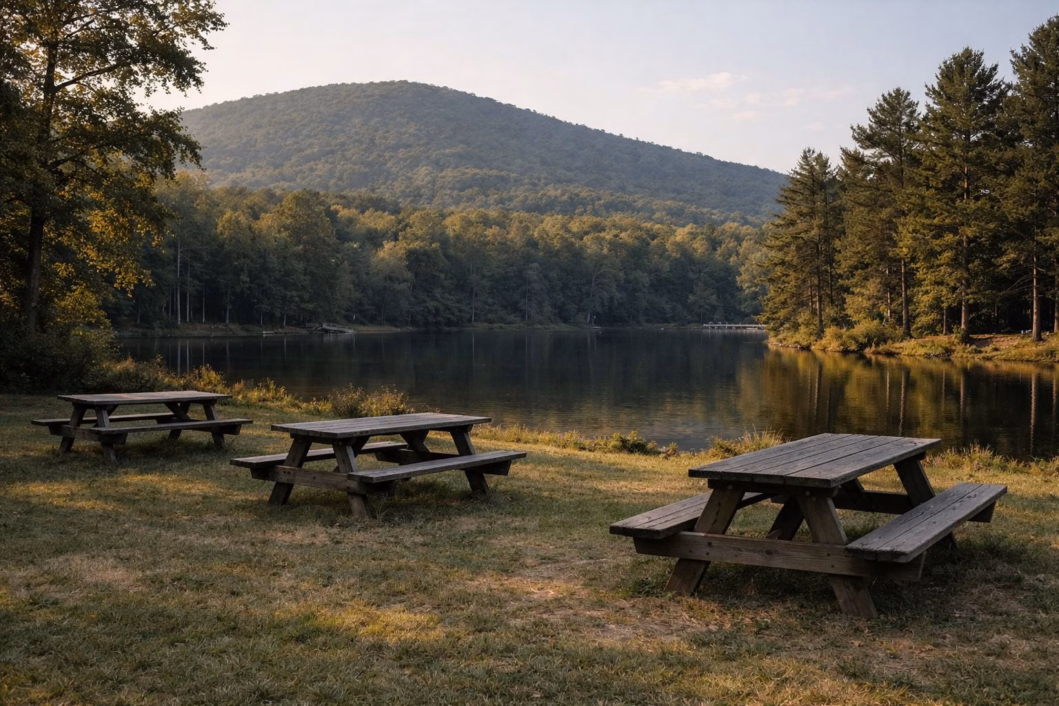 Empty wooden picnic tables on mown grass at the edge of a wooded lake, long low sunlight