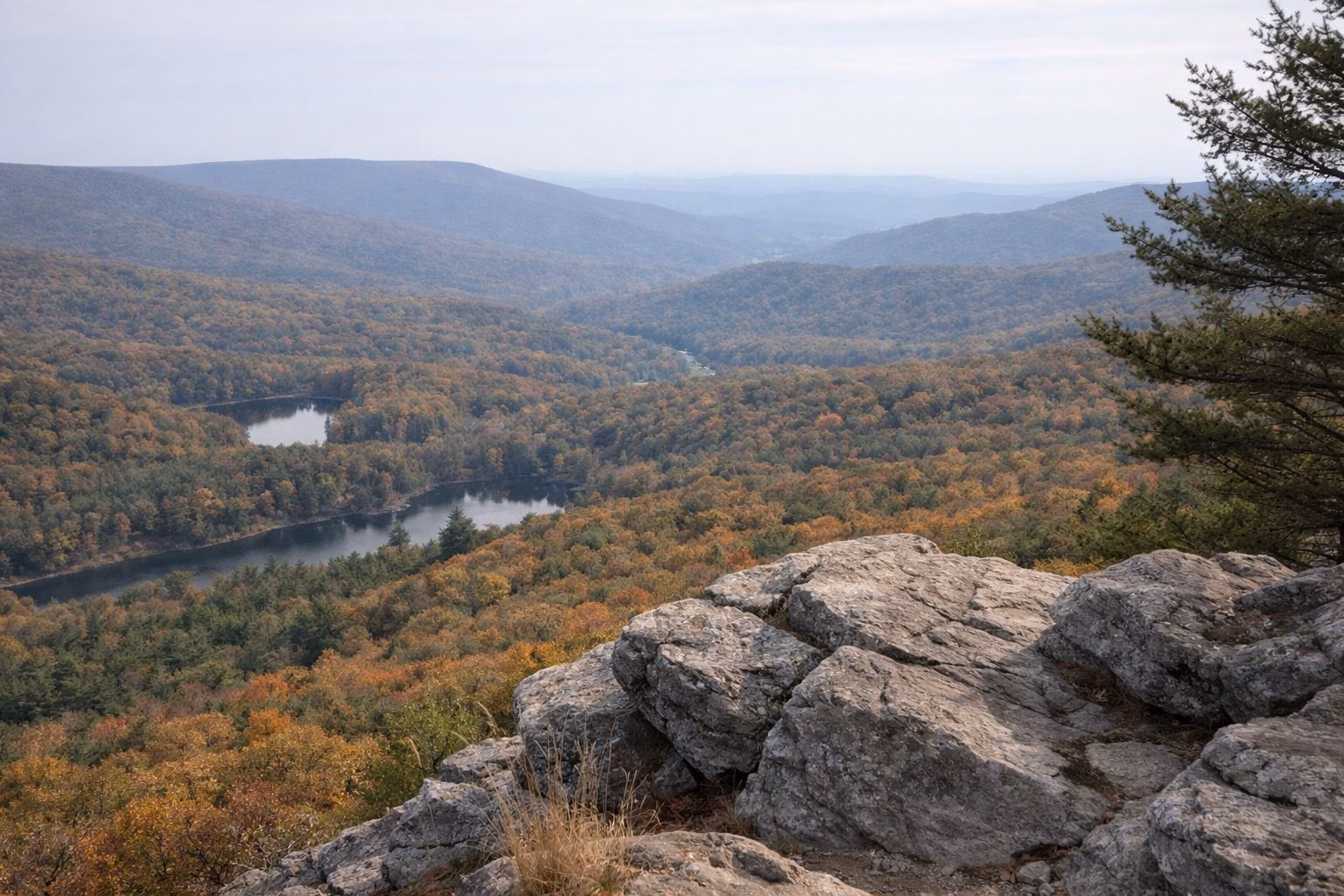 Layered forested mountain ridges in full autumn color seen from a rocky high point
