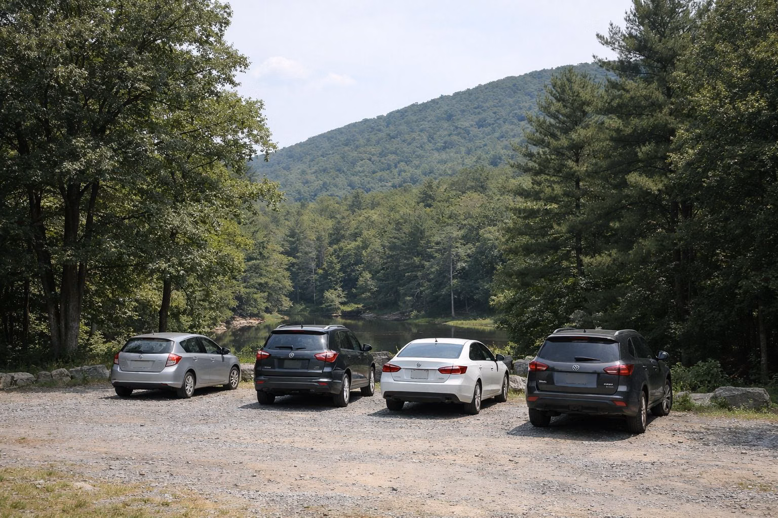 A small gravel parking area at the edge of an oak forest with a few parked cars seen from behind at a distance