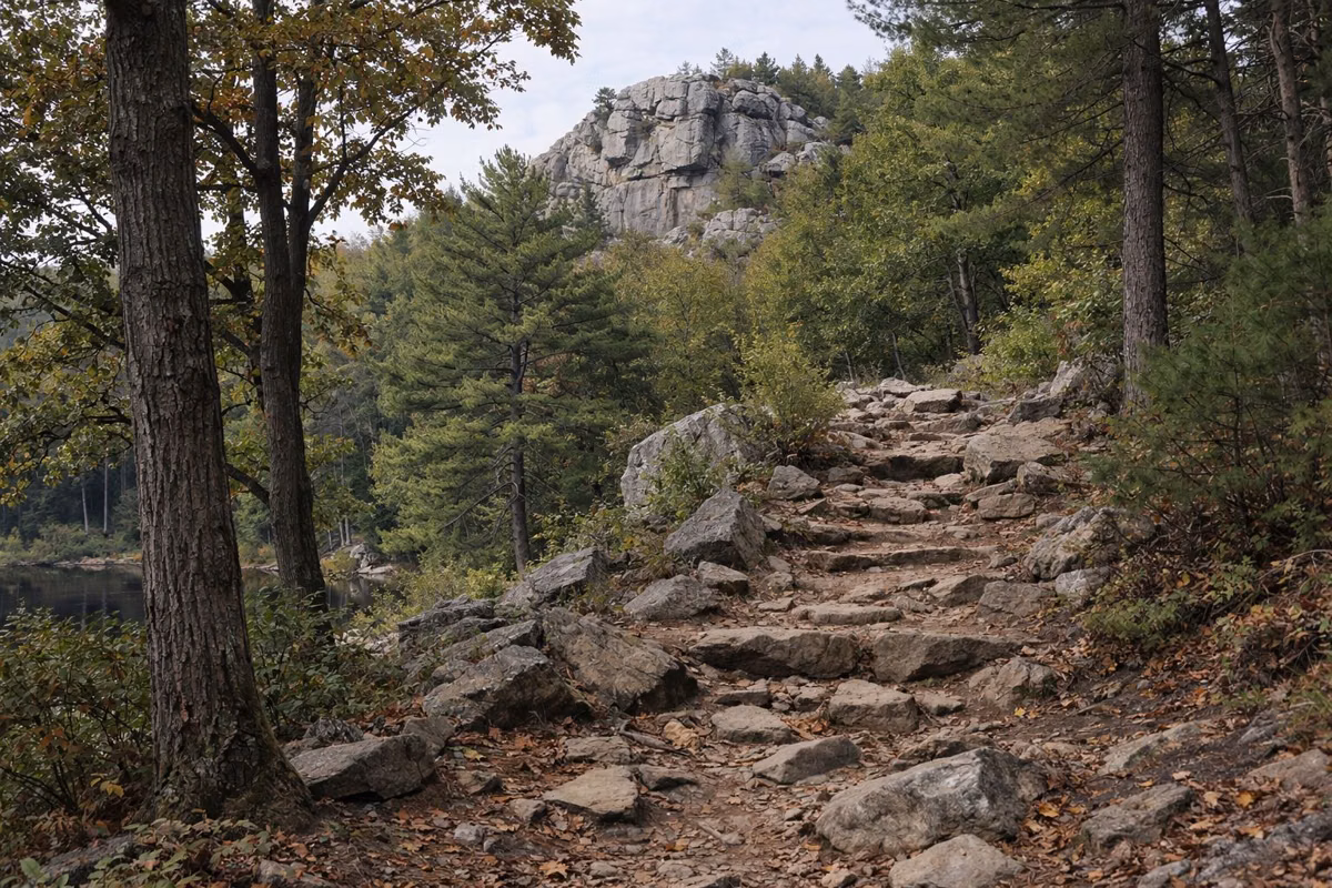 A steep rocky trail climbing through oak woods toward a gray rock outcrop, no people