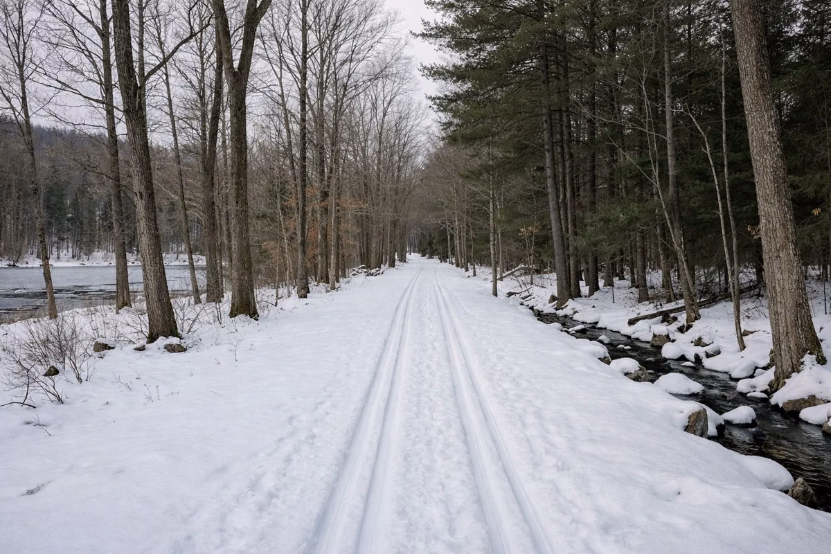 Cross-country ski tracks on a flat snowy trail through bare hardwoods