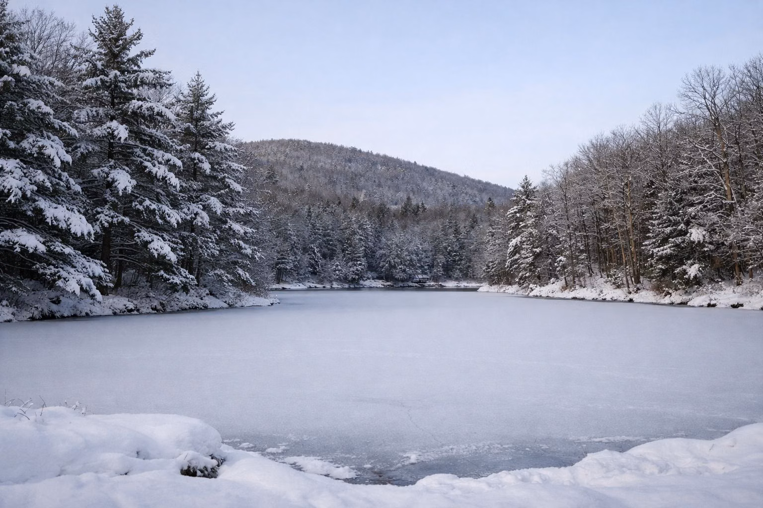 A frozen snow-covered small lake edged with snow-laden pines under a pale blue sky